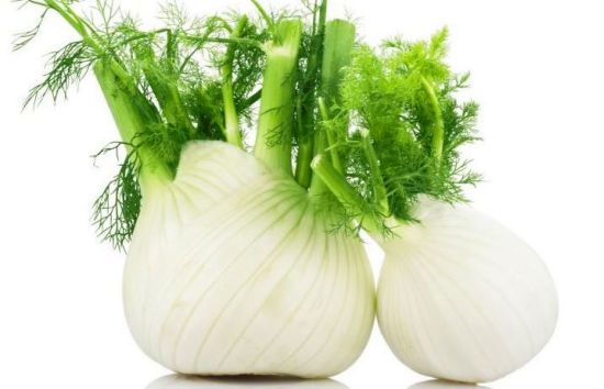 Fennel11