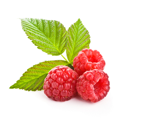 red-raspberry-isp